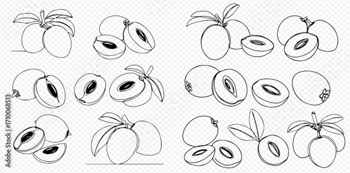 Minimalist continuous line art illustrations depicting whole and halved tropical sapodilla fruits with leaves on a transparent background.
