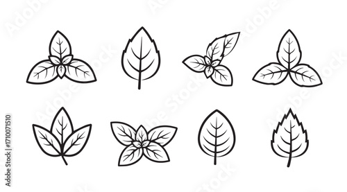 Collection of hand drawn basil leaf illustrations in a distinctive silhouette style