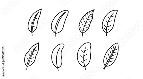 Collection of simple hand drawn leaf silhouettes in a sketchy style