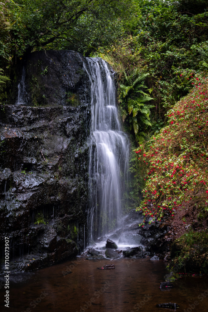 Fototapeta premium Irish Waterfall