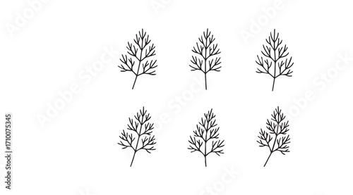 Six delicate botanical illustrations of fern fronds in silhouette