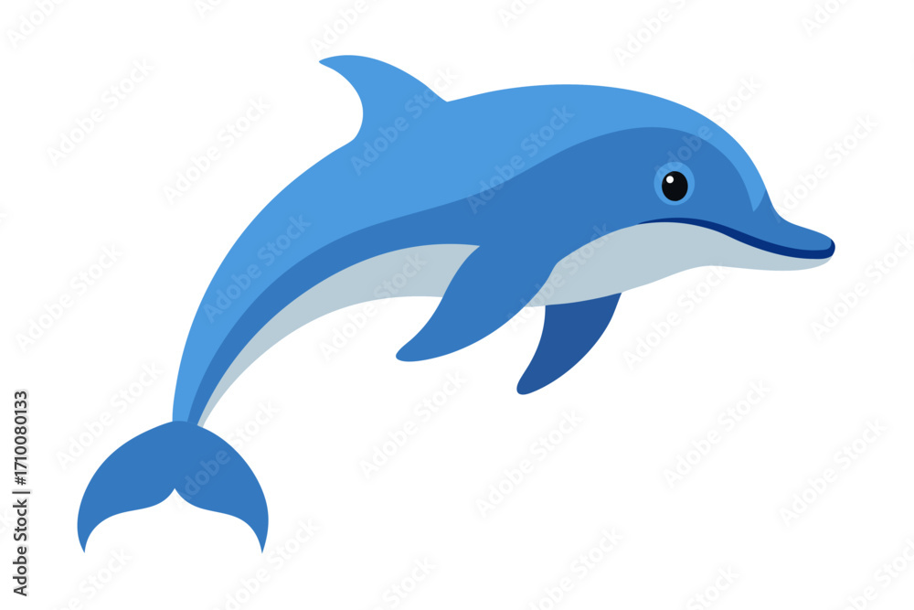 Fototapeta premium dolphin isolated on white background