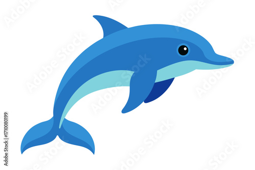 dolphin isolated on white background
