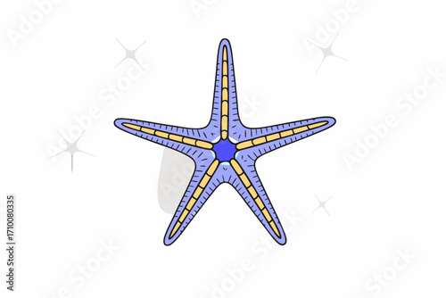 starfish on black background