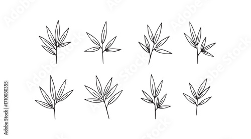 Collection of delicate botanical line art silhouettes of wheat stalks silhouette