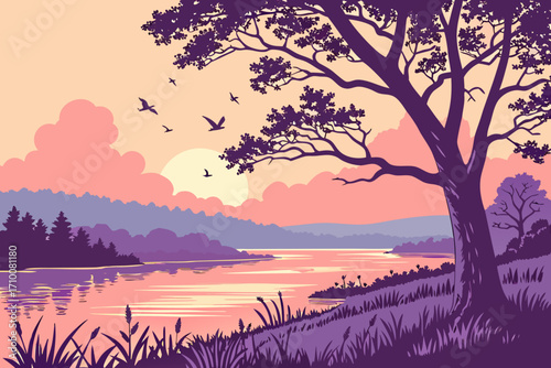 sunset in the forest