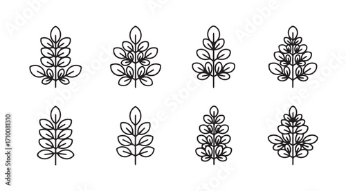 Collection of eight stylized botanical leaf branch silhouettes
