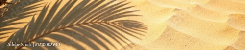 Intricate palm leaf silhouettes cast dappled shadows on sun-kissed sand , aesthetic, sky, water