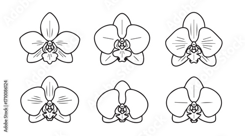 Six delicate orchid flower silhouettes in a grid pattern