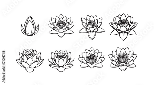 Collection of detailed lotus flower silhouettes in various stages of bloom
