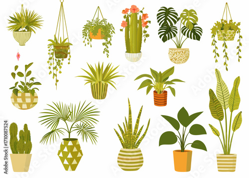 Collection of various potted houseplants and hanging plants in decorative pots