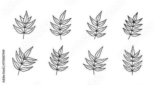 Collection of delicate hand drawn botanical leaf sprigs silhouette