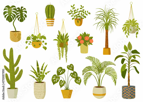 Collection of various potted houseplants and cacti in a flat design style