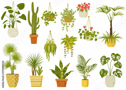 Collection of various potted and hanging houseplants in a flat design style