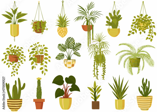 Collection of various potted and hanging houseplants in decorative pots