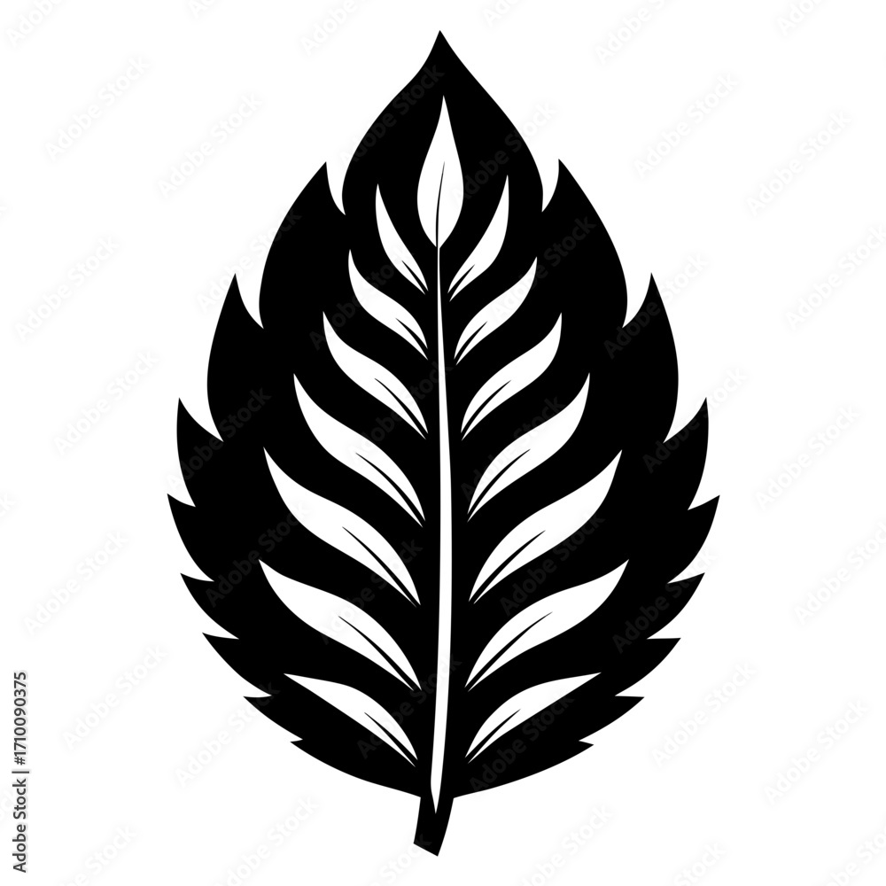 Fototapeta premium vector set of feathers