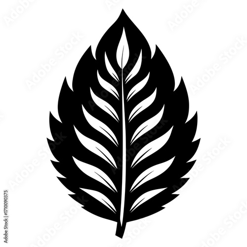 vector set of feathers
