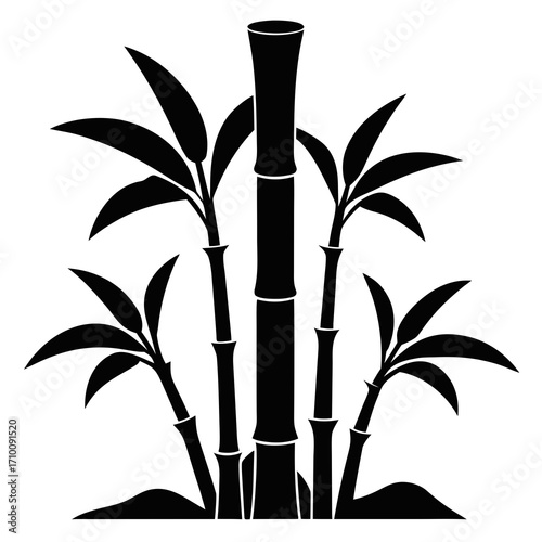 bamboo isolated on white