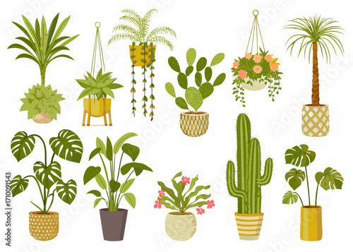 Collection of various potted houseplants and hanging plants