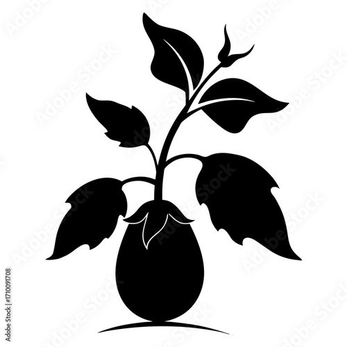vector illustration of an Eggplant black