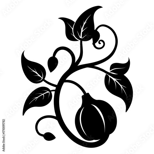 vector illustration of a black olives