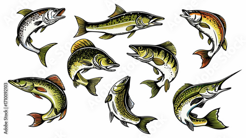 Collection of colorful freshwater and saltwater fish illustrations