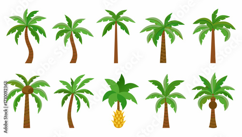 Collection of diverse cartoon palm trees with varied shapes and sizes