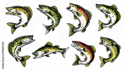 Collection of eight different types of fish illustrations on white background
