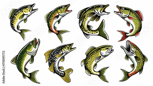 Collection of eight jumping trout fish illustrations on white background