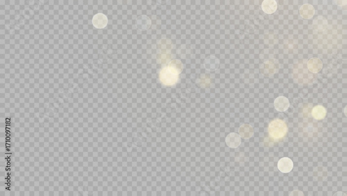 Golden dust light png. Christmas glowing bokeh confetti and sparkle overlay texture for your design. Stock royalty free vector illustration. PNG	