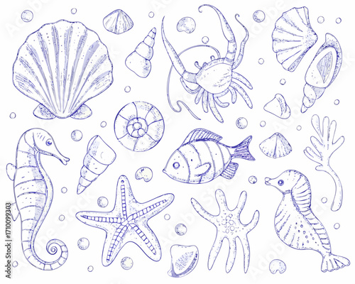 Hand drawn collection of marine life and shells