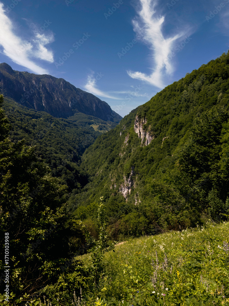 Fototapeta premium Mountain landscape in the Southern Carpathians, in Cerna Valley