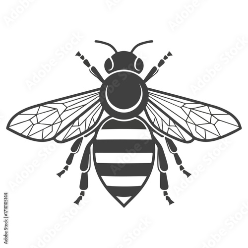 Detailed illustration of a bee, perfect for design and print.