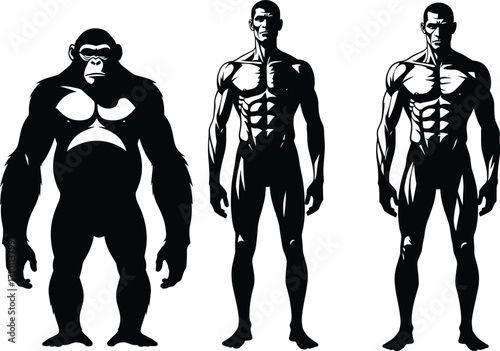 Black and white silhouette of powerful gorilla and muscular human male side by side, anatomy comparison, strength fitness concept, health posture