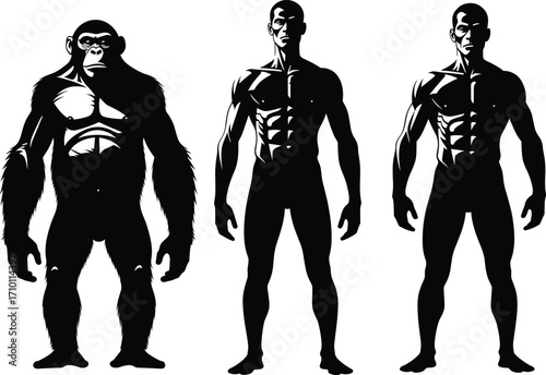 Black and white silhouette of muscular human male body and strong ape figure side by side, anatomy comparison, fitness concept