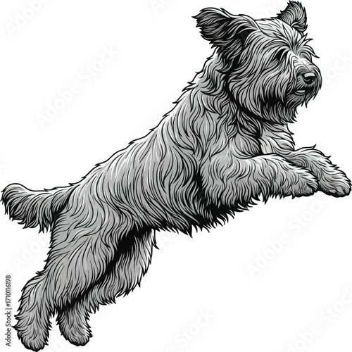 Briard dog jumping energetic playful vector illustration