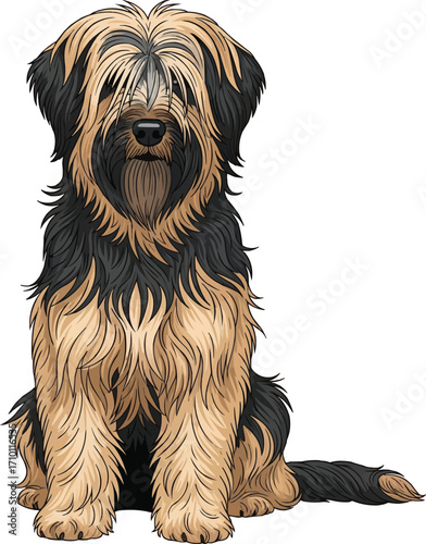 Briard dog sitting cute facing front relaxed vector illustration