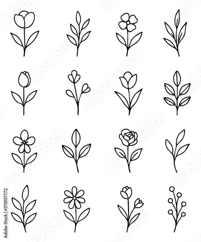Flower Drawing Line Icon Set, Isolated Background. Simple and Elegant Plant and Floral Illustration Design