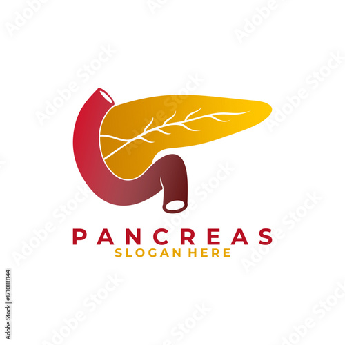 Pancreas Organ human healthy logo design vector