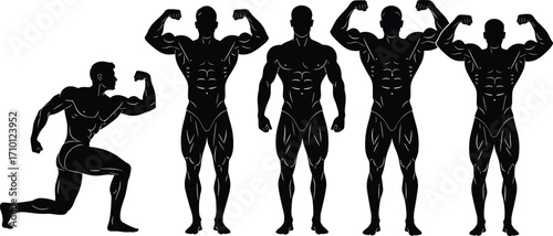 Muscular men silhouette posing, bodybuilding poses, fitness models flexing muscles, strong male athletes, fitness silhouettes, male strength, gym workout, power, physique showcase