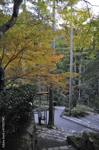 紅葉