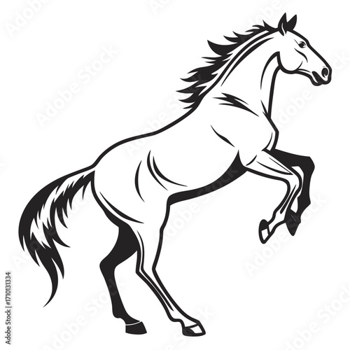 Majestic Stallion Graceful Horse Silhouette in Elegant Black and White