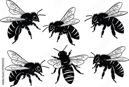 Silhouette of flying bees, detailed honey bee illustration, insect vector collection, pollination symbol, nature insect design, black isolated artwork