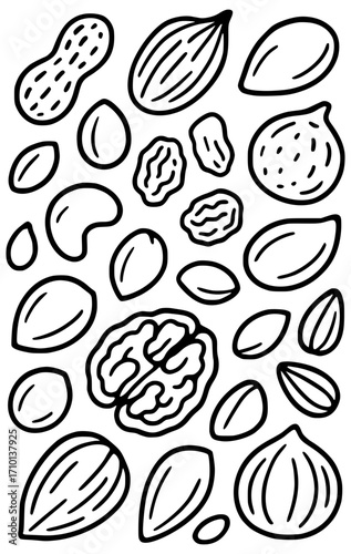 Different types of nuts for healthy eating and cooking