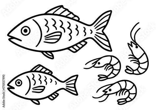 Fish and shrimp doodle illustration