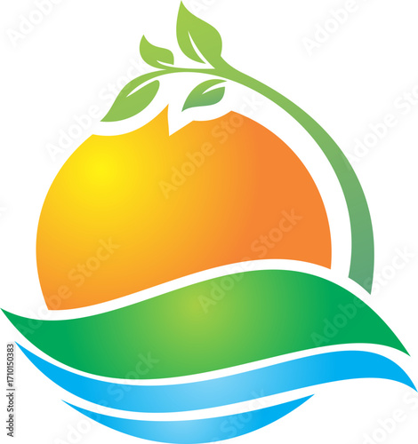 vector illustration of an orange fruit on ecology plant clean abstract logo