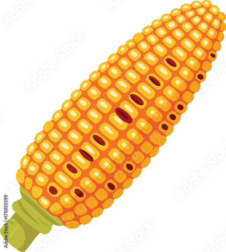 Ear of Corn Maize Vegetable Minimalist Illustration