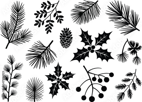 Festive winter foliage collection with pine needles, holly, and pinecone silhouettes