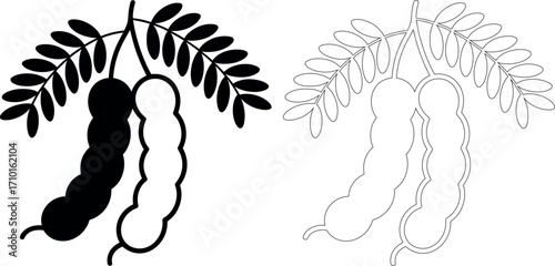 Tamarind pod design vector in black and white colors flat design
