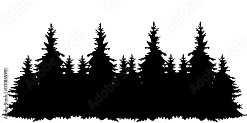 Pine Forest Silhouette Vector Illustration – Black Evergreen Tree Landscape